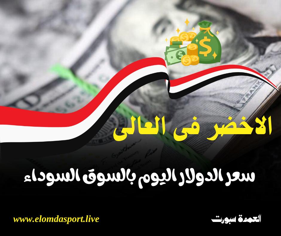  سعر الدولار اليوم في مصر الاثنين
