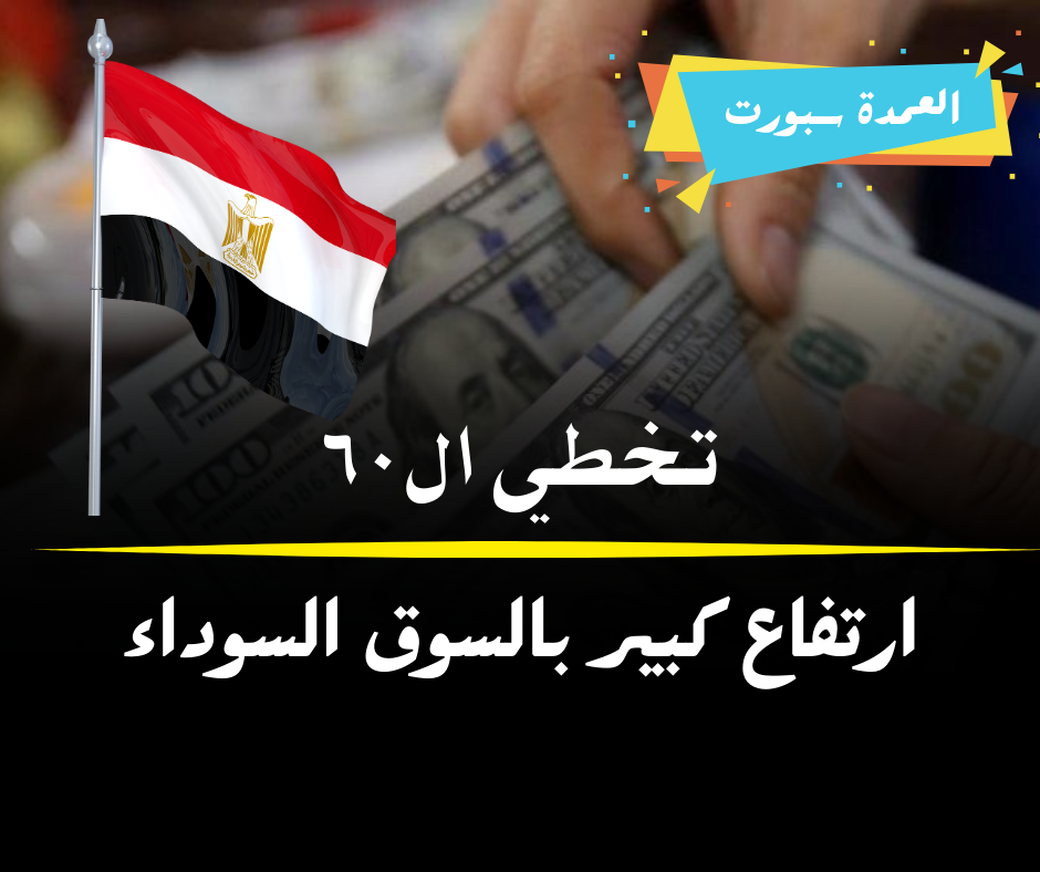 سعر الدولار اليوم في مصر الخميس